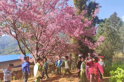云南省澜沧县未来希望幼儿班项目