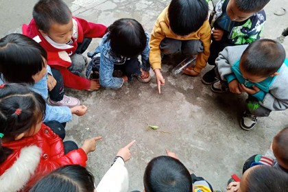 一只“猴三”跑到了幼儿班的课堂里