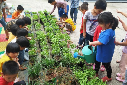 小花园，探索自然的小基地